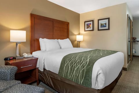 Comfort Inn & Suites Dimondale - Lansing Inn in Lansing