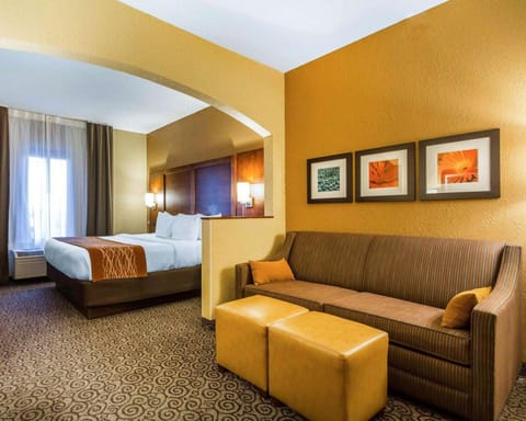 Comfort Suites Hotel in Minnesota