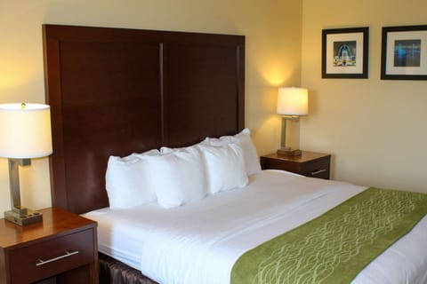 Comfort Inn & Suites St Louis - Chesterfield Hotel in Chesterfield