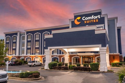 Comfort Suites Olive Branch - Memphis South Hotel in Olive Branch