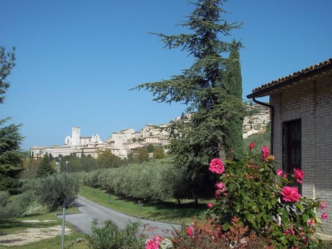 Nearby landmark, Garden, View (from property/room), Garden view