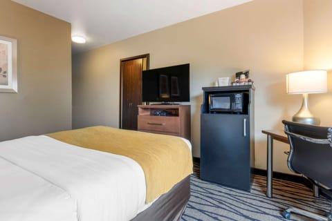 Comfort Inn & Suites Market - Airport Hotel in Great Falls