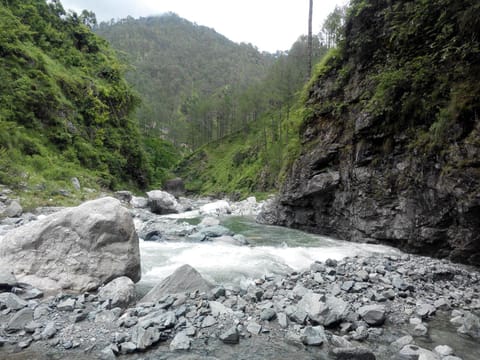 Silent Valley- Alchauna Kumaoni House along river Kalsa Farm Stay in Uttarakhand