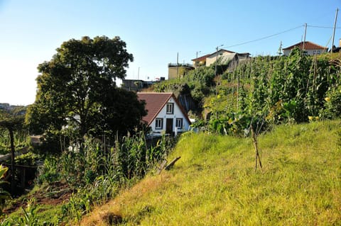 Property building, Nearby landmark, Neighbourhood, Garden