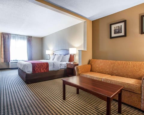 Comfort Inn & Suites Carneys Point Hotel in Delaware