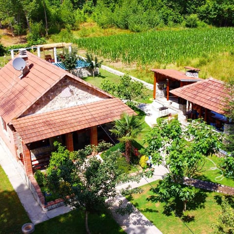 Property building, Spring, Day, Garden, Garden view