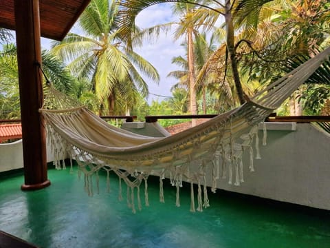 Natural landscape, Garden, Balcony/Terrace