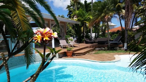Villa Piscine et Iguanes en bord de mer proche plages marina et golf Villa in Guadeloupe