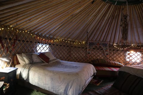 2 Luxury Yurts & Barn Kitchen Big Garden Sleeps 9 House in Wales