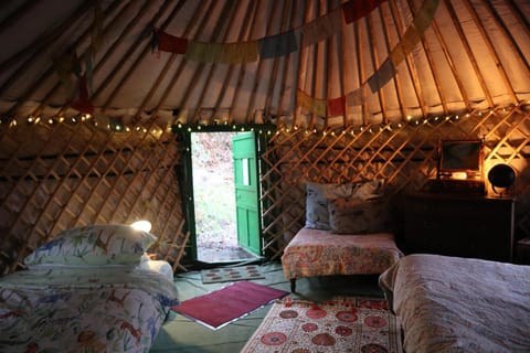 2 Luxury Yurts & Barn Kitchen Big Garden Sleeps 9 House in Wales