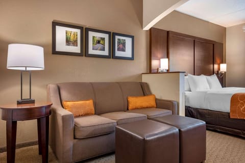 Comfort Suites near Penn State Hôtel in University Park