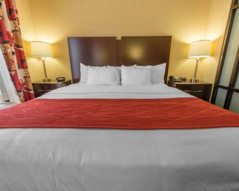 Comfort Suites Altoona Hotel in Allegheny River