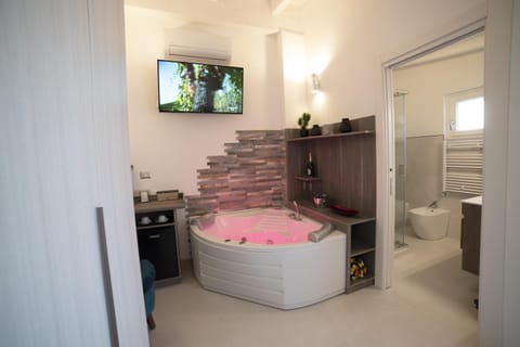 Hot Tub, TV and multimedia