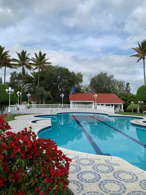 Pool view, Swimming pool