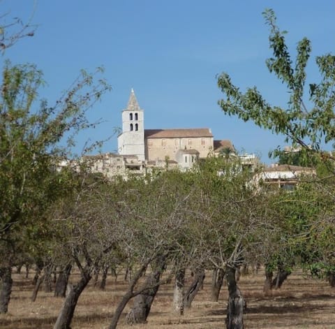 Ca na Mora Casa in Campanet