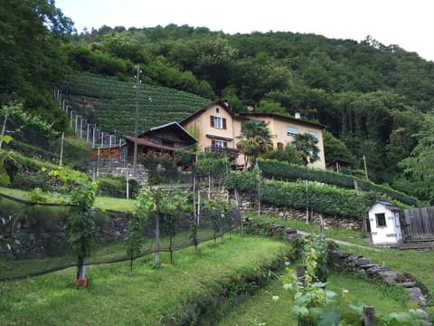 Property view