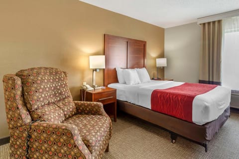 Comfort Inn & Suites Rapid City Hotel in Rapid City