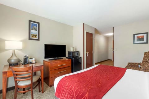 Comfort Inn & Suites Hotel in Rapid City