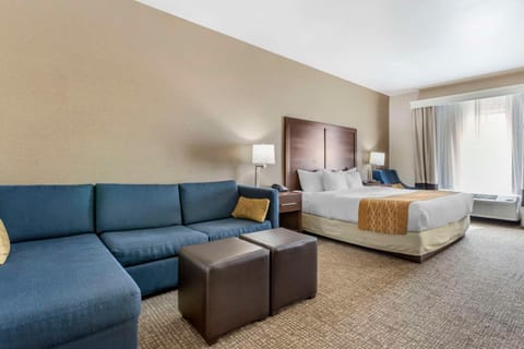 Comfort Inn & Suites Hotel in Mitchell