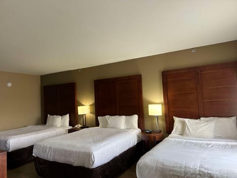 Vista Suites Pigeon Forge - SureStay Collection by BW Hotel in Pigeon Forge