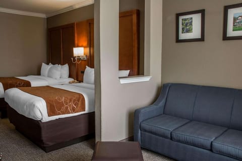Comfort Suites Hotel in New Braunfels