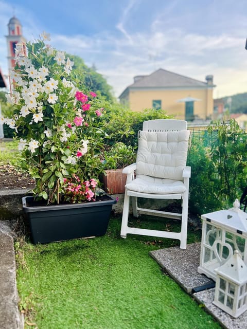 Garden, Garden view, sunbed