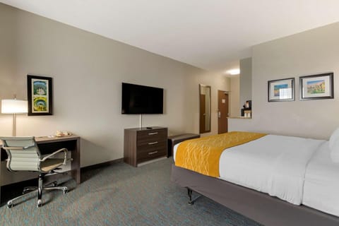 Comfort Inn & Suites Selma near Randolph AFB Hotel in San Antonio