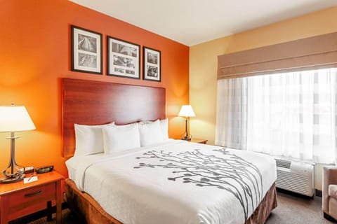 Sleep Inn & Suites Tyler South Hotel in Tyler
