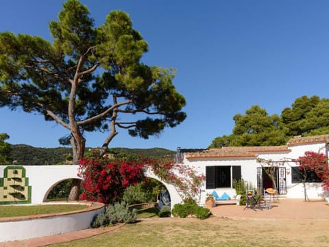 Patio, Natural landscape, Garden