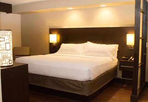 Holiday Inn Express & Suites San Antonio Medical Center North, an IHG Hotel Hotel in San Antonio