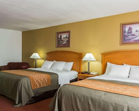 Comfort Inn & Suites Chesapeake - Portsmouth Hotel in Chesapeake