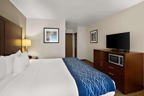 Comfort Inn Lacey - Olympia Posada in Lacey