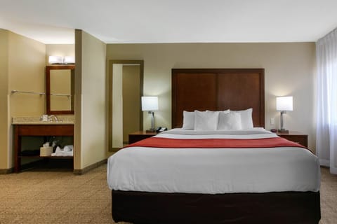 Comfort Inn & Suites Near University of Wyoming Hotel in Laramie
