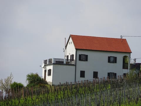 Kellerstöckl Eisenberg/Pinka Weiner House in Hungary