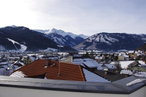 Penthaus Appartement Apartment in Carinthia, Austria