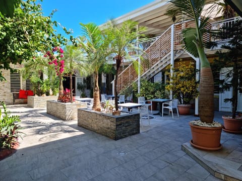 Property building, Patio, Spring, Day, Garden, View (from property/room), Balcony/Terrace, Garden view