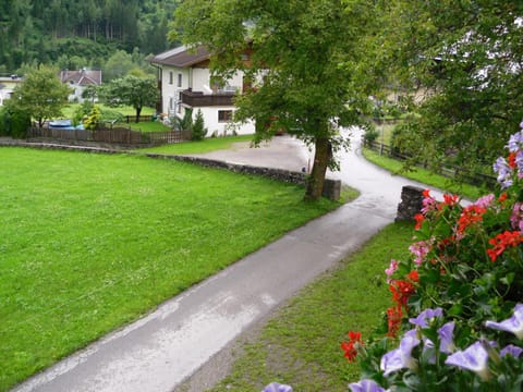 Neighbourhood, Garden, Garden view