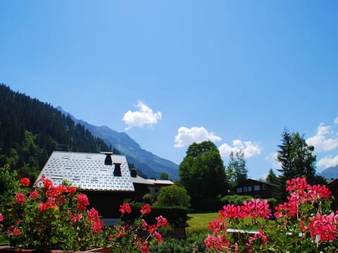 Appartement convivial avec vue montagne 55 m² en Montjoie Apartment in Les Contamines-Montjoie