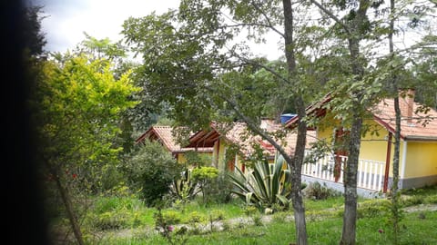 Property building, Natural landscape, Garden, Garden view