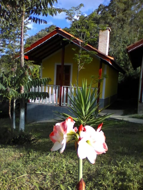 Property building, Spring, Day, Garden, Other, Garden view