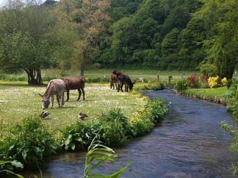 River view