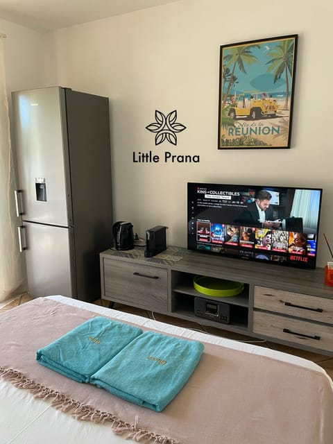 Little Prana Apartment in Saint-Paul