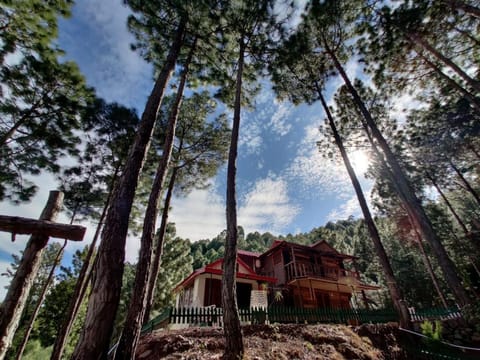 Pine Valley Resort Campground/ 
RV Resort in Himachal Pradesh