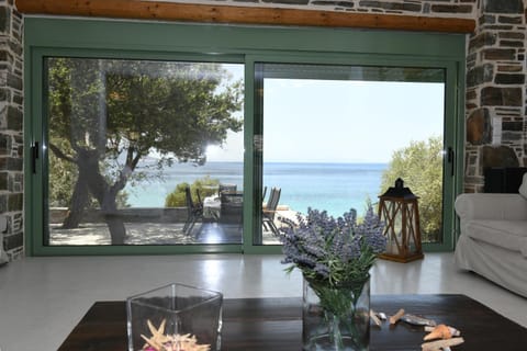 Sun Senses beach front villa with private beach Villa in Euboea