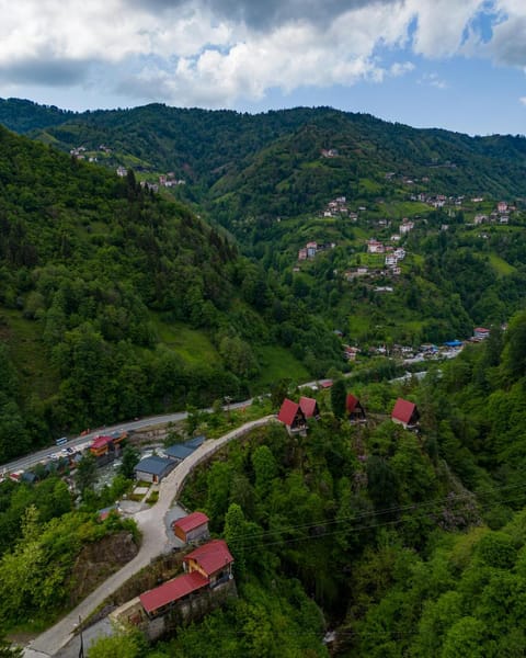 Natural landscape, Bird's eye view, Mountain view