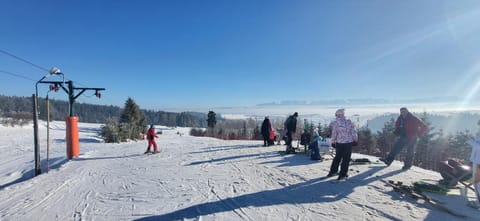 People, Winter, Skiing, group of guests