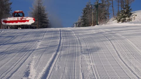 Ski School, Skiing