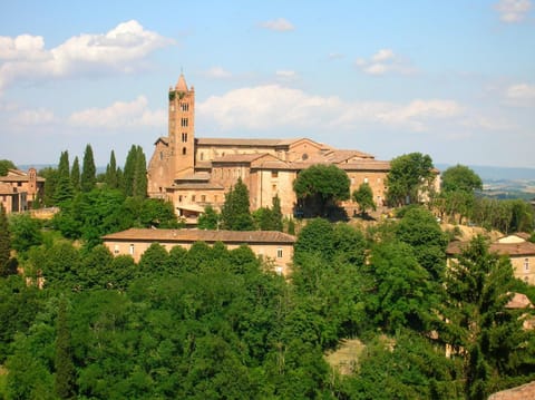 View (from property/room), Area and facilities
