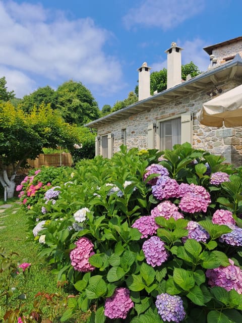 Property building, Garden, Garden view