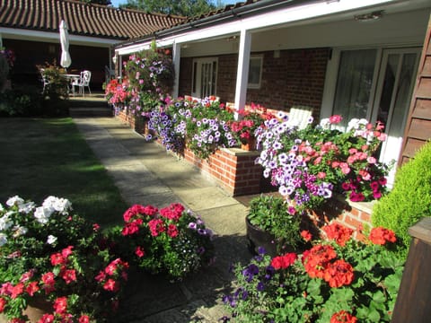 Property building, Garden